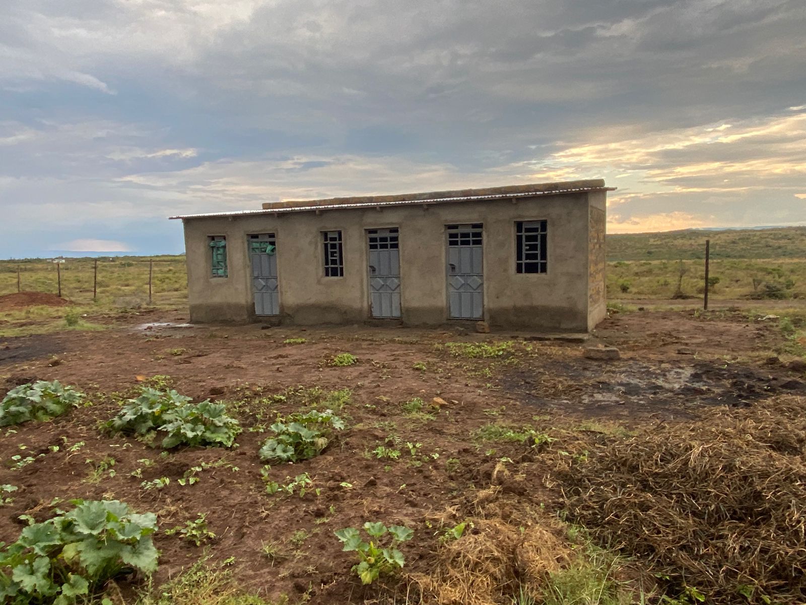 Mizani 2025-11-28 at 09.47.41