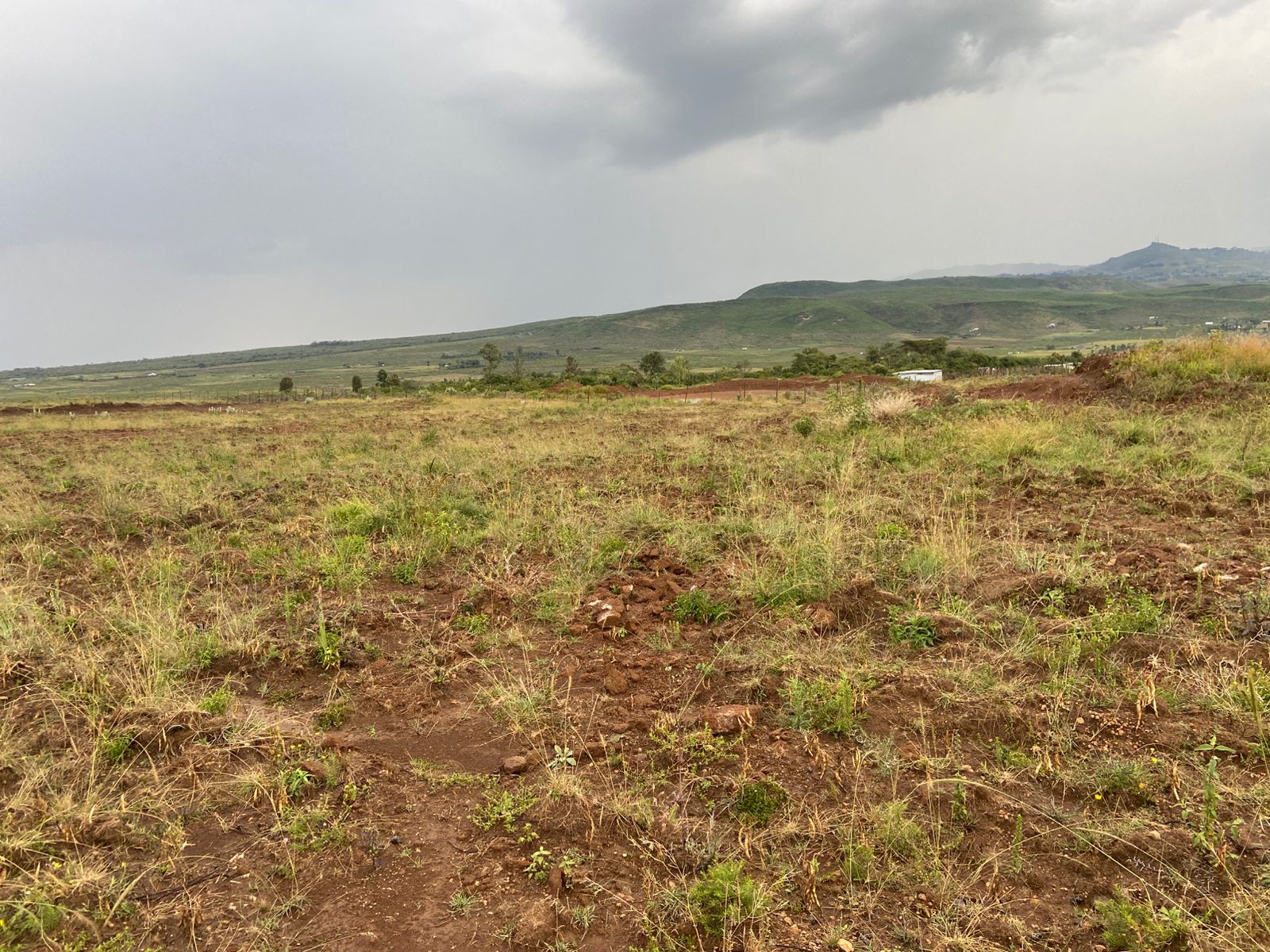 Mizani 2025-11-28 at 09.47.42