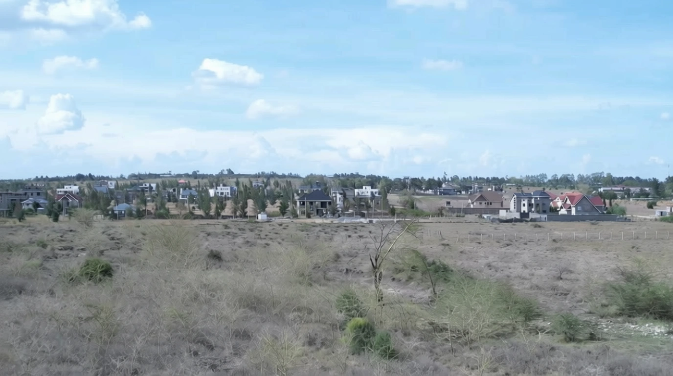 roshani-6-remove-logo