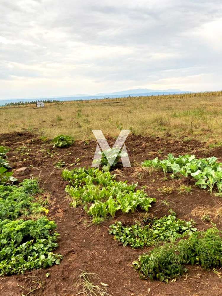 mval-plots-mizani-views-gilgil