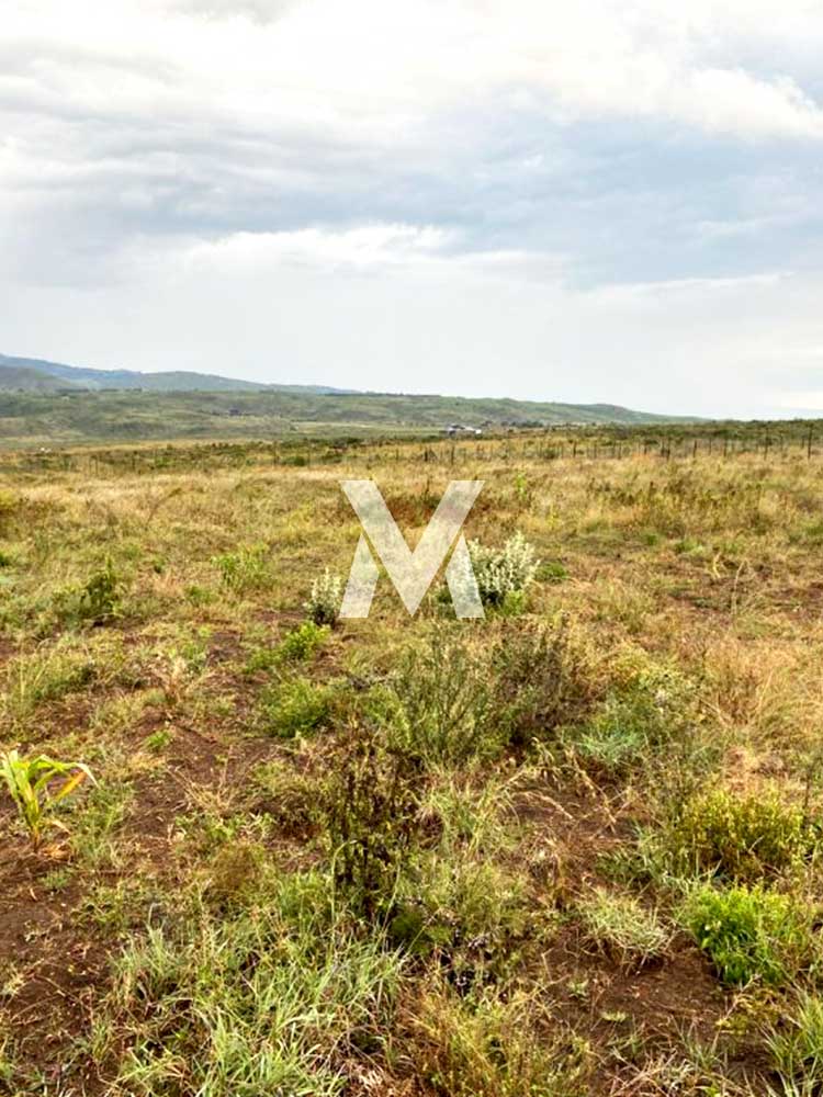 mval-plots-roshani-gardens-kitengela