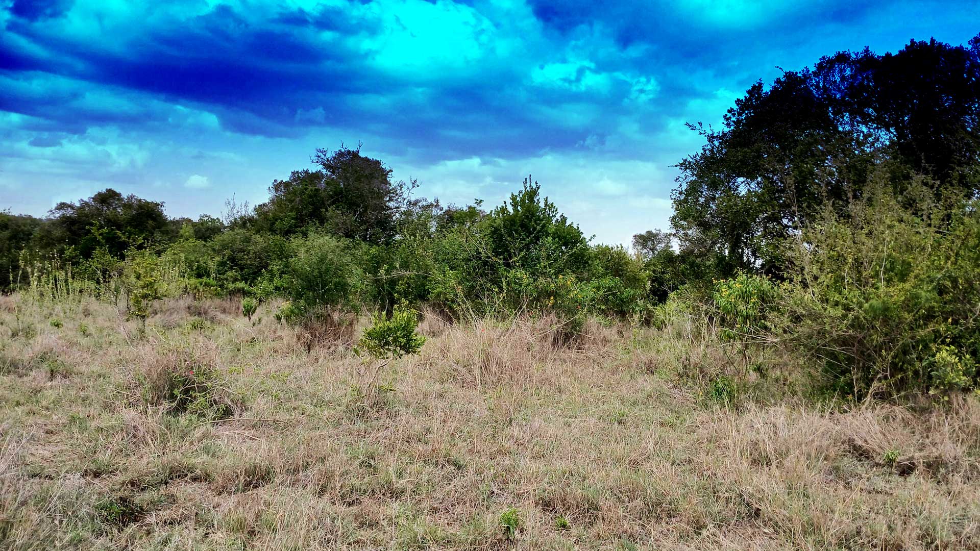 Read more about the article Mweiga Babito Nyeri