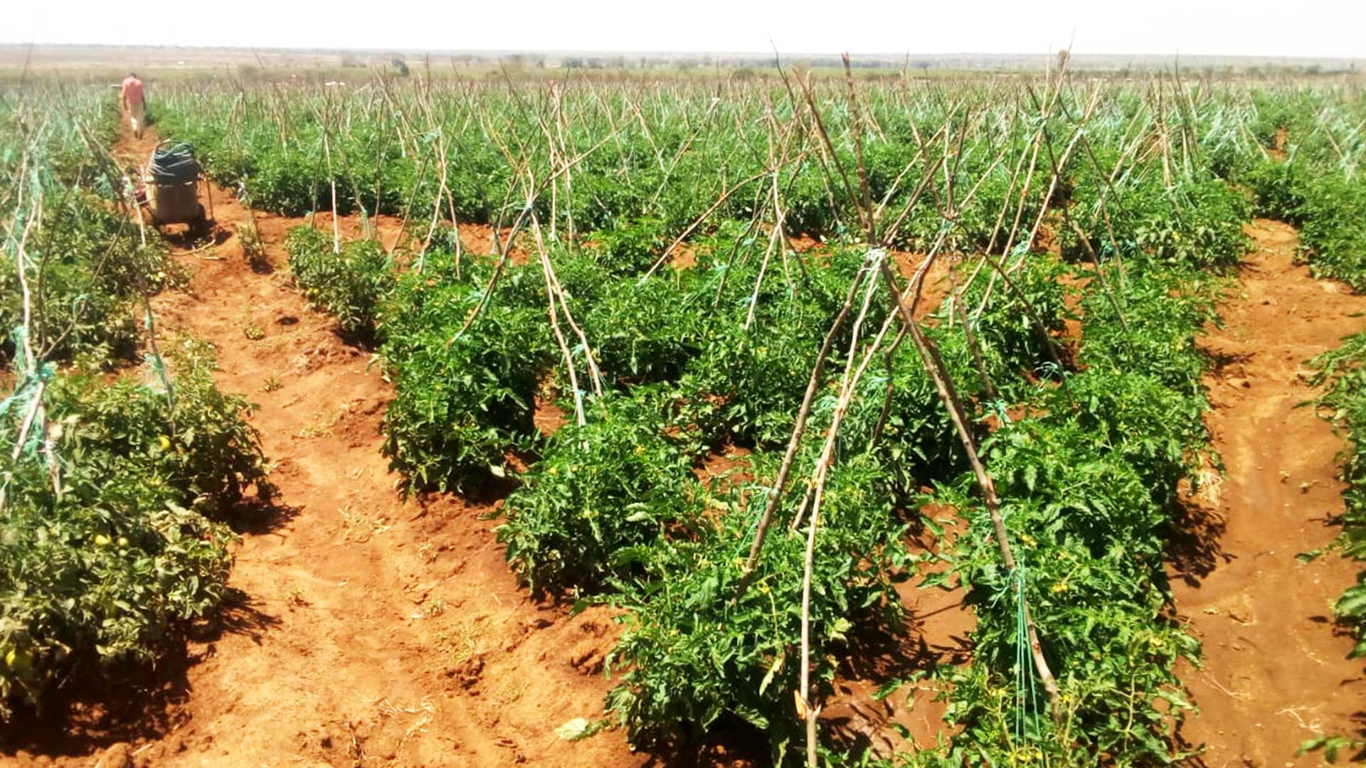 Read more about the article Rumuruti Laikipia